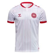 Danmark Udebanetrøje 2026/27 Pro